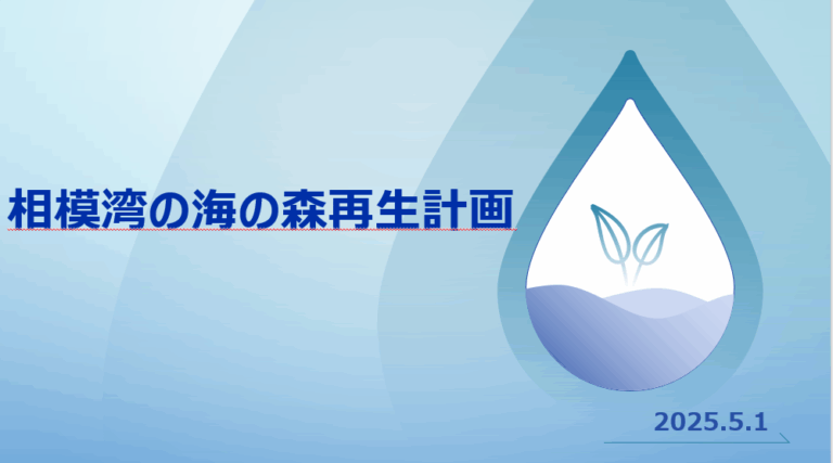 相模湾の海の森再生計画